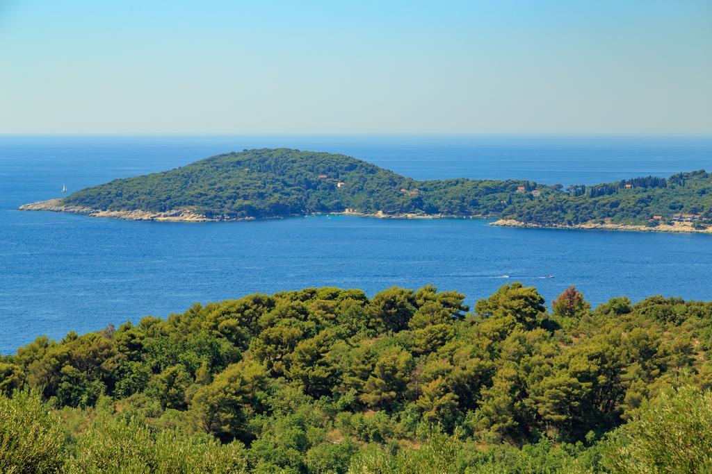 Hedera Estate, Villa Hedera VII Zaton  Luaran gambar